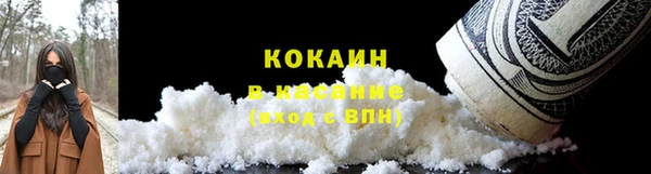 ешки Аркадак