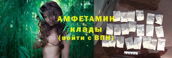 ешки Аркадак